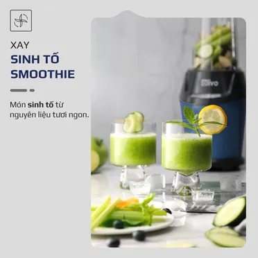 Máy Xay Sinh Tố Mini Olivo MB1000 5