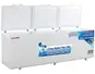 Tủ Đông Alaska Inverter 915 Lít HB-1100CI