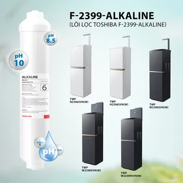 Lõi Lọc Chức Năng Toshiba Số 6 F-2399-Alkaline 1