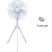 Quạt đứng công nghiệp BENNY 22" (Cánh 55cm) BF-22S