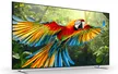Google TiVi True RGB Sony 98 Inch BRAVIA 7 II K-98XR70M2