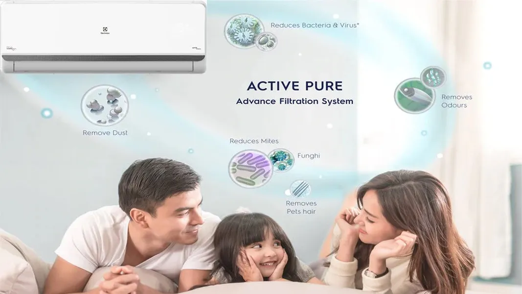 Máy lạnh Electrolux Inverter 1 Hp ESV09CRS-B2