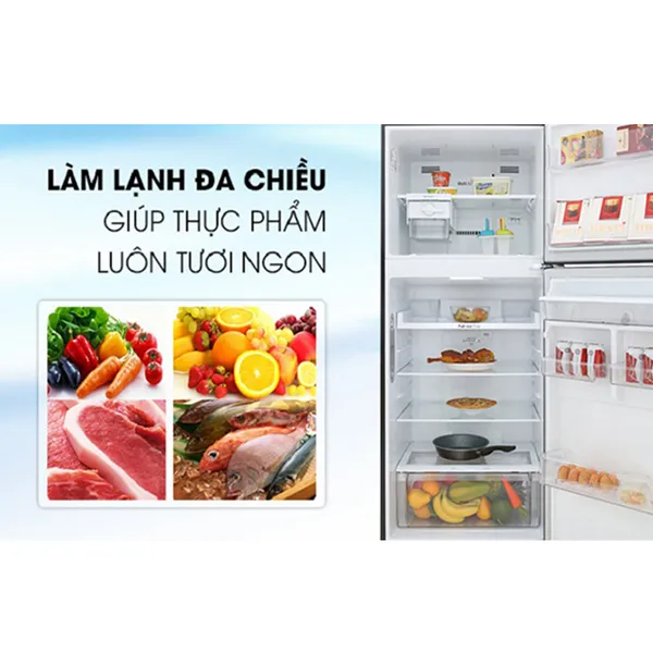 Tủ Lạnh LG Inverter 427 Lít GN-D422BL