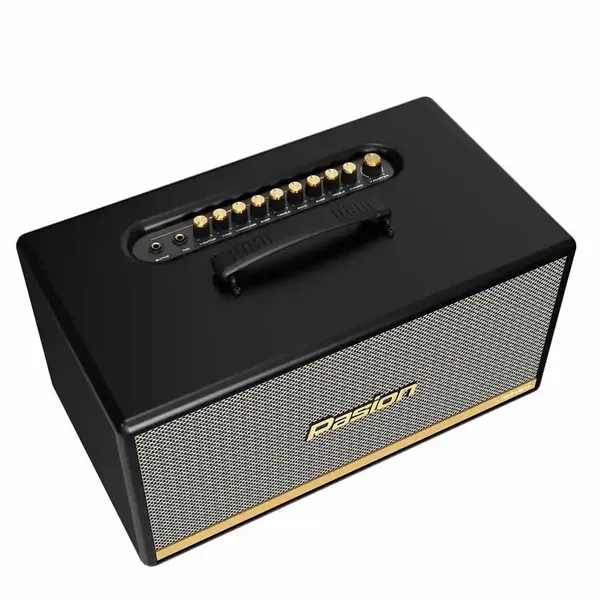 Loa Di Động Xách Tay Paramax PASION 2c (Màu Đen)