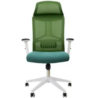 Ghế Văn Phòng ECOOC-2204W Xanh