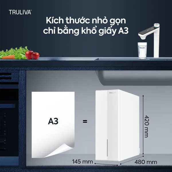 Máy Lọc Nước Truliva UR61096H