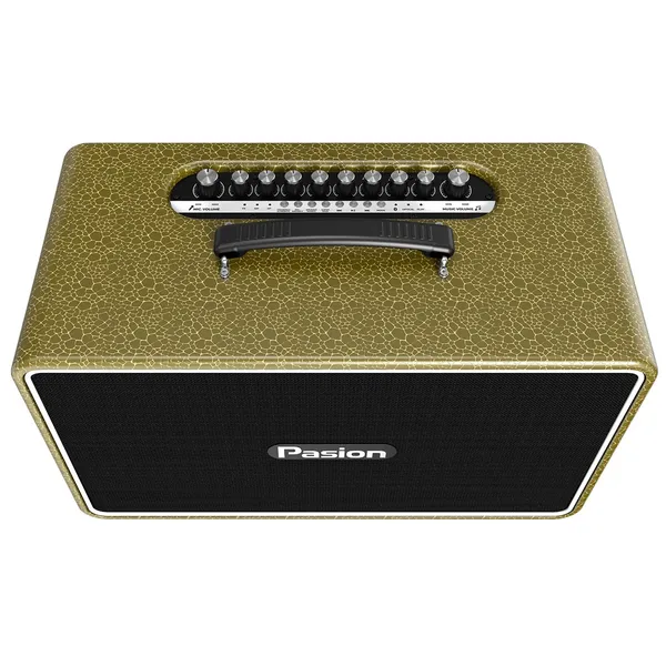 Loa Di Động Xách Tay Paramax PASION Arte (Golden Olive)