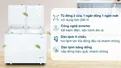 Tủ Đông Mát Aqua Inverter 295 Lít AQF-C4202E