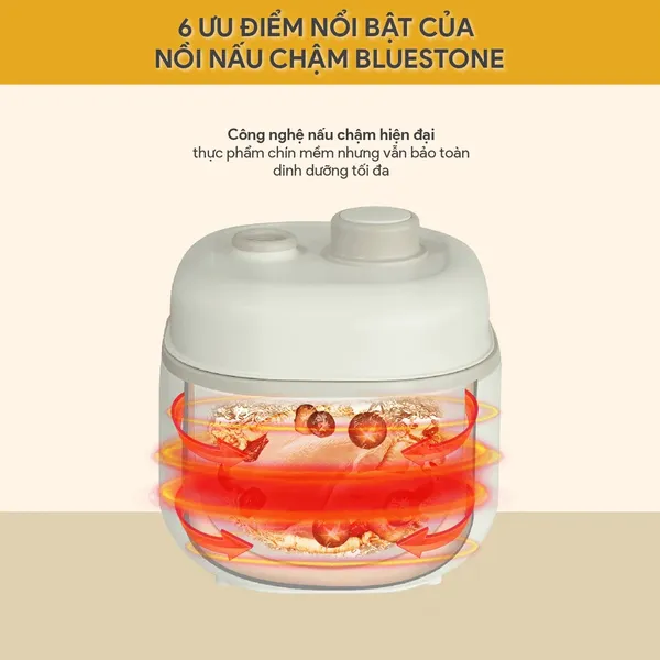 Nồi Nấu Chậm Cho Bé Ăn Dặm BlueStone SCB-6119