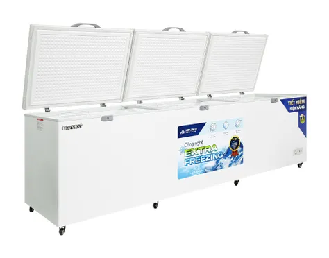 Tủ Đông Hòa Phát 1190 Lít HPF AD61190 3