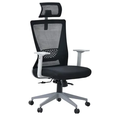 Ghế Văn Phòng Công Thái Học ECOOC-2108 Đen 0