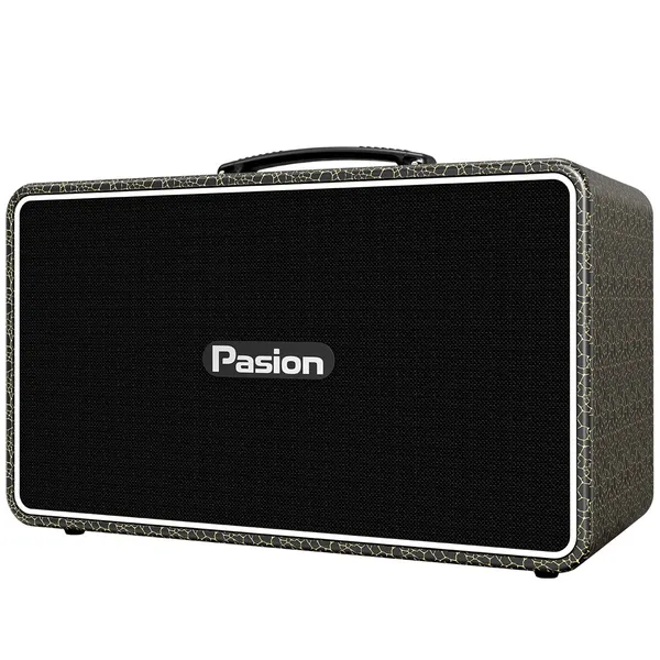 Loa Di Động Xách Tay Paramax PASION Arte (Golden Black)