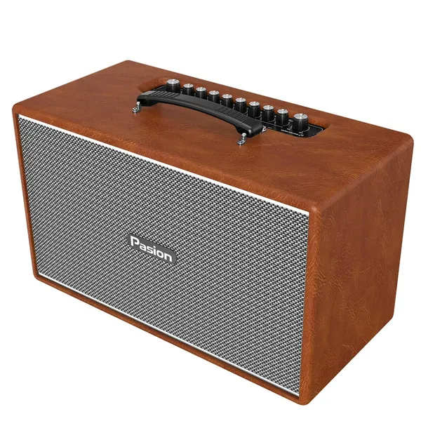 Loa Di Động Xách Tay Paramax PASION Enzo (Brown Leather)