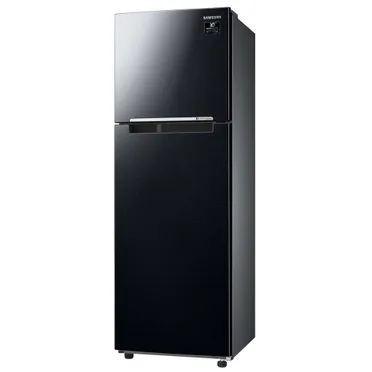 Tủ Lạnh Samsung Inverter 256 Lít TMF- RT25M4032BU 0