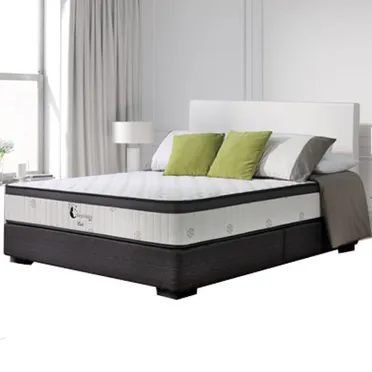 Nệm Lò Xo SLEEPMATICS Cari Q