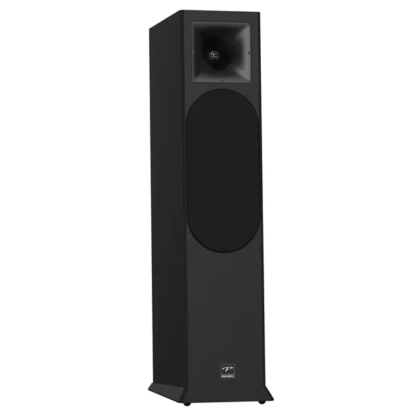 Loa Nghe Nhạc và Karaoke Hi-Fi PARAMAX EURO 8 Limited (Black Ash)