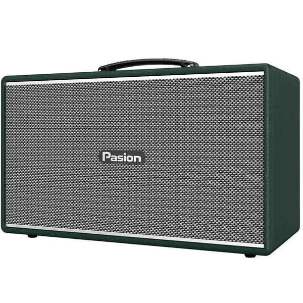 Loa Di Động Xách Tay Paramax PASION Enzo (Green Leather)