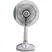 Quạt đứng BENNY BF40ST 0