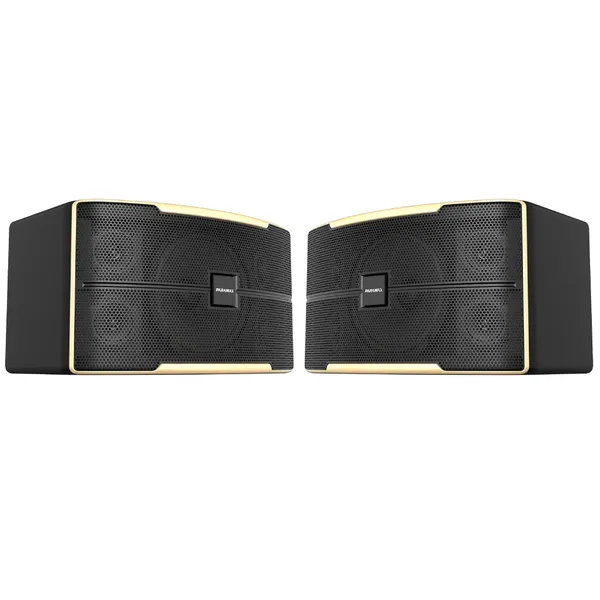 Loa Karaoke 10 Inches Paramax Z-1500