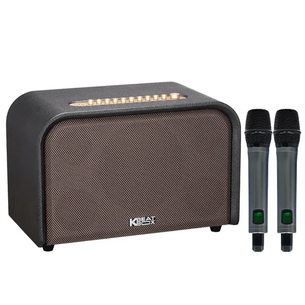 Loa Karaoke Di Động Acnos Acoustic 3 Compact (màu Đen)