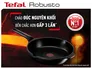 Chảo Đúc Cao Cấp Tefal Robusto 24cm E2490444