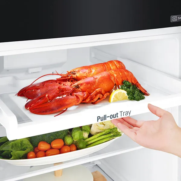 Tủ Lạnh LG Inverter 209 Lít GN-B222WB