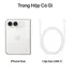 iPhone Duo 1TB