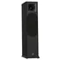Loa Nghe Nhạc và Karaoke Hi-Fi PARAMAX EURO 8 Limited (Black Ash)