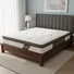 Nệm Simplehome (Hoag) 1.6M