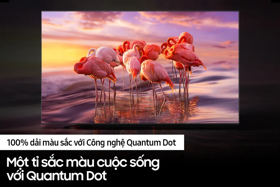 Smart Tivi Samsung QLED 4K 43 Inch QA43Q60B