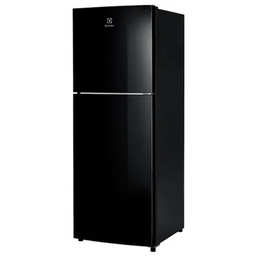 Tủ Lạnh Electrolux Inverter 256 Lít ETB2802J-H 1