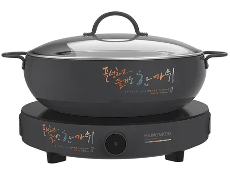 Bếp Điện Từ Đơn Hawonkoo CEH-101-I-GR (Tặng Kèm Nồi)