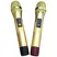 Loa Kéo Bn Audio BA 800V 2