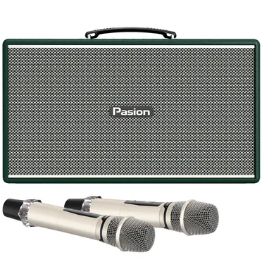 Loa Di Động Xách Tay Paramax PASION Enzo (Green Leather)