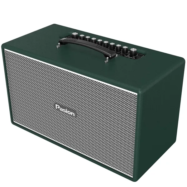Loa Di Động Xách Tay Paramax PASION Enzo (Green Leather)