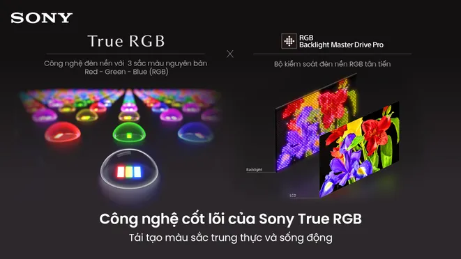 Google TiVi True RGB Sony 55 Inch BRAVIA 7 II K-55XR70M2 8