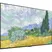 LG Smart Tivi OLED 4K 55 Inch 55G1PTA 1