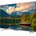 TCL Android Tivi 4K 75 Inch 75P725 2