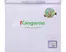 Tủ Đông Kangaroo 90 Lít KG168NC1