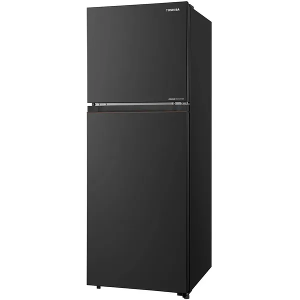 Tủ Lạnh Toshiba Inverter 240 Lít GR-RT310WE-PMV(68)