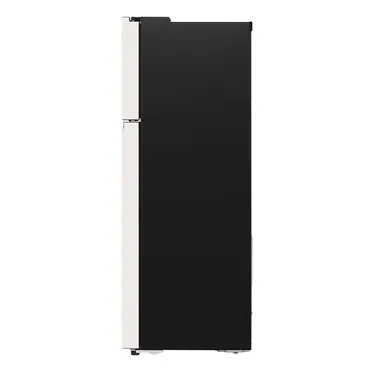Tủ Lạnh LG Smart Inverter 395 Lít GN-B392BG 13