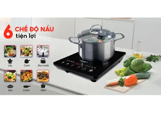 Bếp Từ Đơn Sanaky VH-3100HY 4