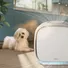 Máy Lọc Không Khí Cho Thú Cưng Philips AC3360/11