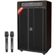 Loa Kéo Điện Dalton 6 Tấc TS-21A2000
