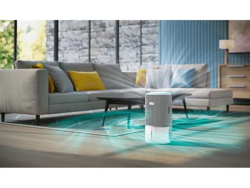 Máy Lọc Không Khí Và Bù Ẩm Philips AC3420/10 10
