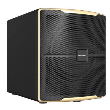 Loa Paramax Z-Sub 0