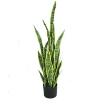 Chậu Cây Lưỡi Hổ JWT2904