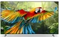 Google TiVi True RGB Sony 98 Inch BRAVIA 7 II K-98XR70M2 0