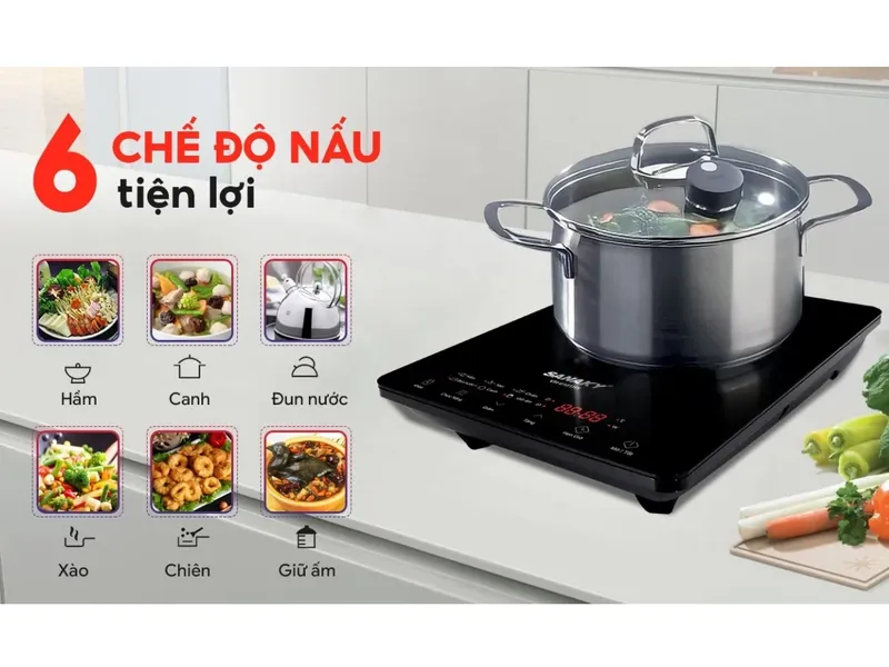 Bếp Điện Từ Đơn Sanaky VH6101HY
