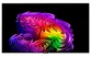 Smart Tivi LG OLED AI 4K 55 Inch OLED55G6PSA